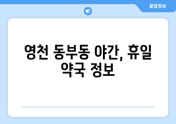 경상북도 영천시 동부동 24시간 토요일 일요일 휴일 공휴일 야간 약국