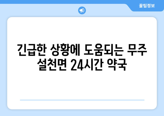 전라북도 무주군 설천면 24시간 토요일 일요일 휴일 공휴일 야간 약국