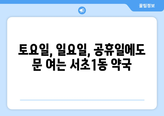 서울시 서초구 서초1동 24시간 토요일 일요일 휴일 공휴일 야간 약국