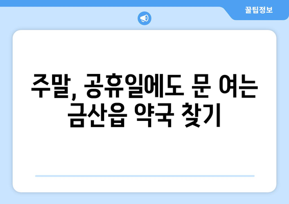 충청남도 금산군 금산읍 24시간 토요일 일요일 휴일 공휴일 야간 약국