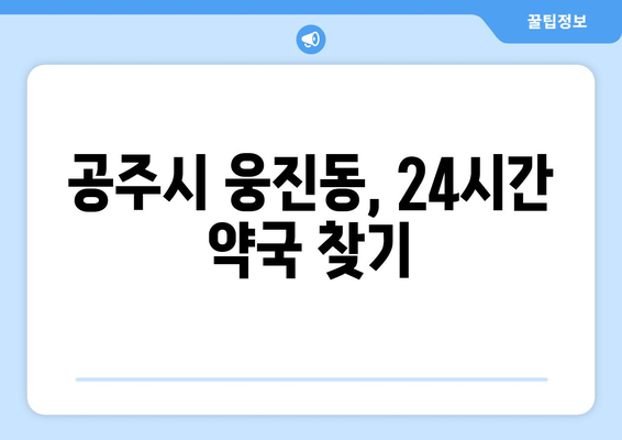 충청남도 공주시 웅진동 24시간 토요일 일요일 휴일 공휴일 야간 약국