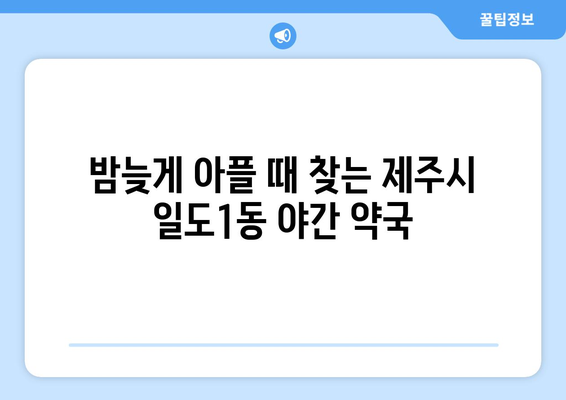 제주도 제주시 일도1동 24시간 토요일 일요일 휴일 공휴일 야간 약국