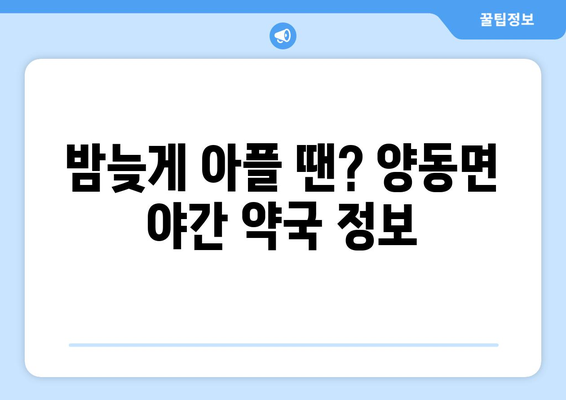 경기도 양평군 양동면 24시간 토요일 일요일 휴일 공휴일 야간 약국