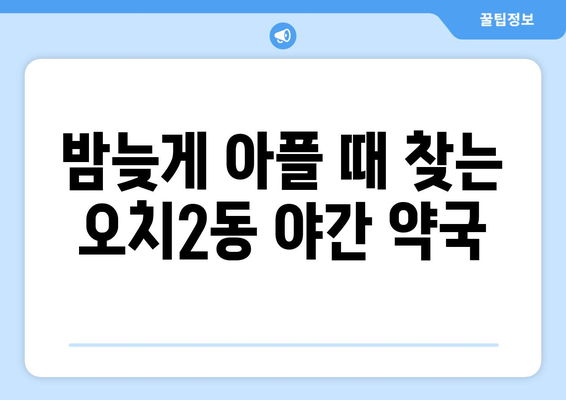 광주시 북구 오치2동 24시간 토요일 일요일 휴일 공휴일 야간 약국