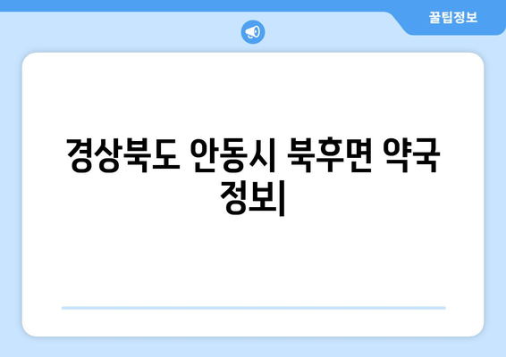 경상북도 안동시 북후면 24시간 토요일 일요일 휴일 공휴일 야간 약국