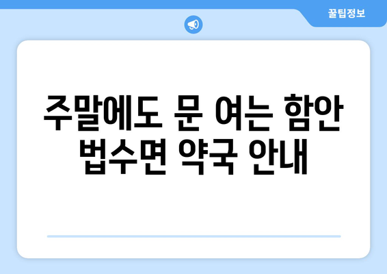 경상남도 함안군 법수면 24시간 토요일 일요일 휴일 공휴일 야간 약국