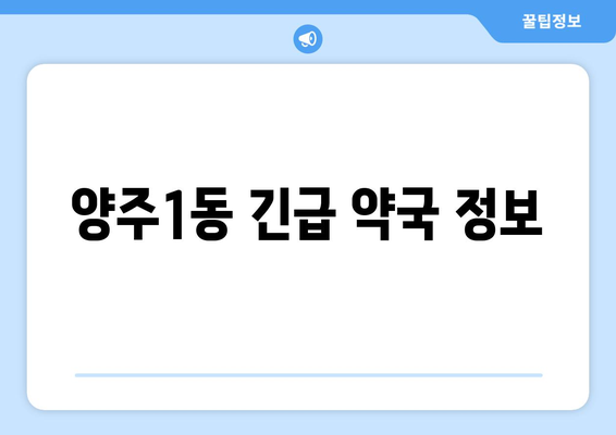 경기도 양주시 양주1동 24시간 토요일 일요일 휴일 공휴일 야간 약국