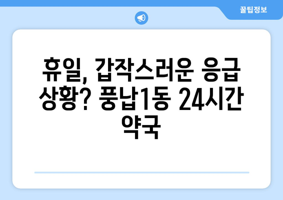 서울시 송파구 풍납1동 24시간 토요일 일요일 휴일 공휴일 야간 약국