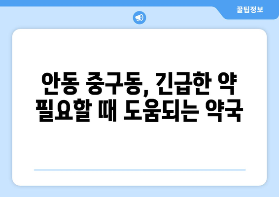 경상북도 안동시 중구동 24시간 토요일 일요일 휴일 공휴일 야간 약국