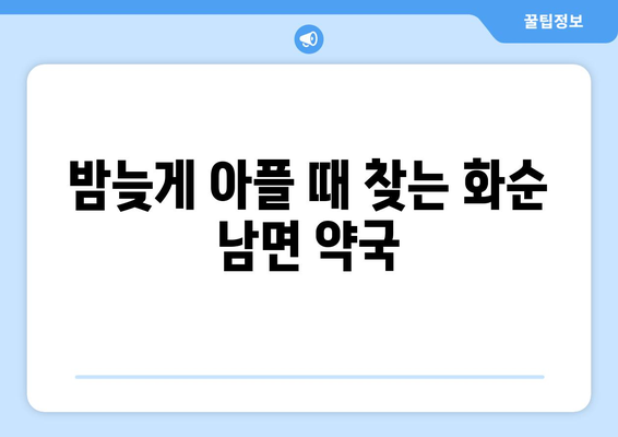 전라남도 화순군 남면 24시간 토요일 일요일 휴일 공휴일 야간 약국