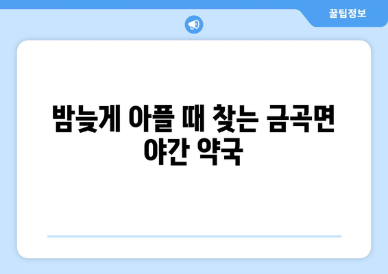 경상남도 진주시 금곡면 24시간 토요일 일요일 휴일 공휴일 야간 약국