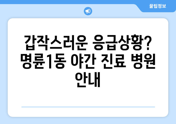 강원도 원주시 명륜1동 일요일 휴일 공휴일 야간 진료병원 리스트