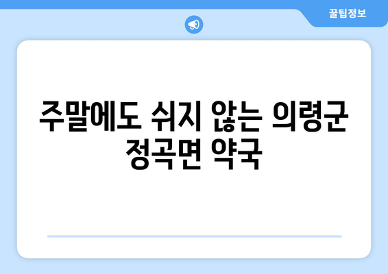 경상남도 의령군 정곡면 24시간 토요일 일요일 휴일 공휴일 야간 약국