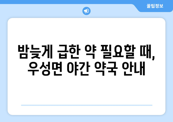 충청남도 공주시 우성면 24시간 토요일 일요일 휴일 공휴일 야간 약국