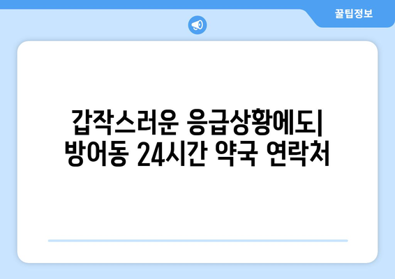 울산시 동구 방어동 24시간 토요일 일요일 휴일 공휴일 야간 약국