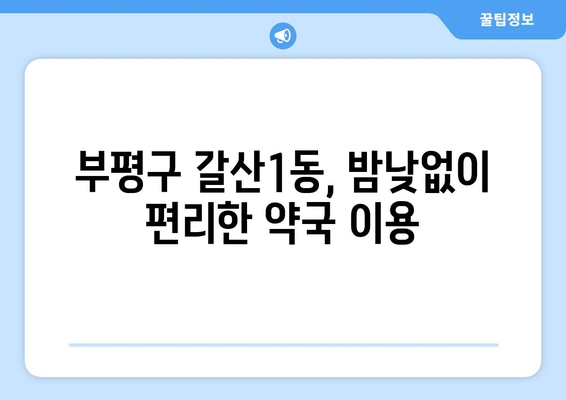 인천시 부평구 갈산1동 24시간 토요일 일요일 휴일 공휴일 야간 약국