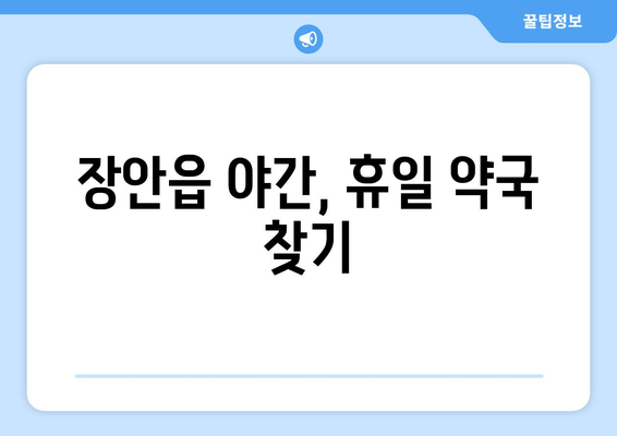 부산시 기장군 장안읍 24시간 토요일 일요일 휴일 공휴일 야간 약국