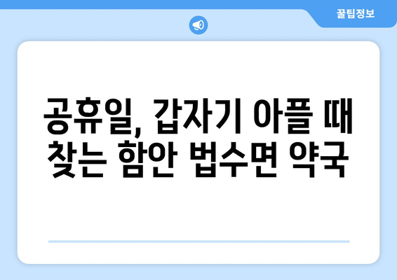 경상남도 함안군 법수면 24시간 토요일 일요일 휴일 공휴일 야간 약국