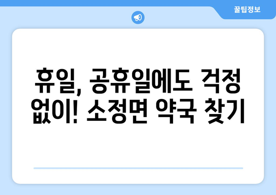 세종시 세종특별자치시 소정면 24시간 토요일 일요일 휴일 공휴일 야간 약국