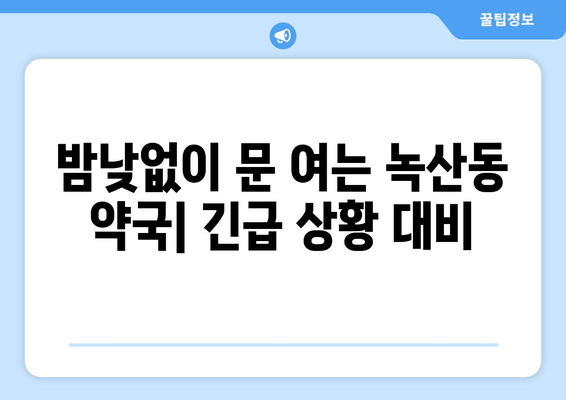 부산시 강서구 녹산동 24시간 토요일 일요일 휴일 공휴일 야간 약국