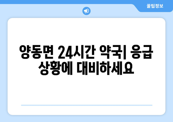 경기도 양평군 양동면 24시간 토요일 일요일 휴일 공휴일 야간 약국