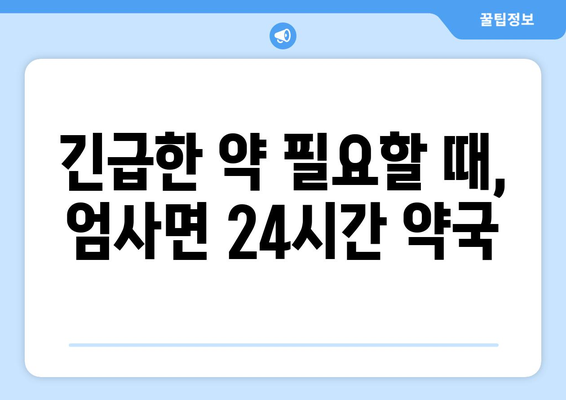 충청남도 계룡시 엄사면 24시간 토요일 일요일 휴일 공휴일 야간 약국