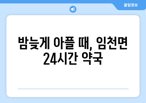 충청남도 부여군 임천면 24시간 토요일 일요일 휴일 공휴일 야간 약국