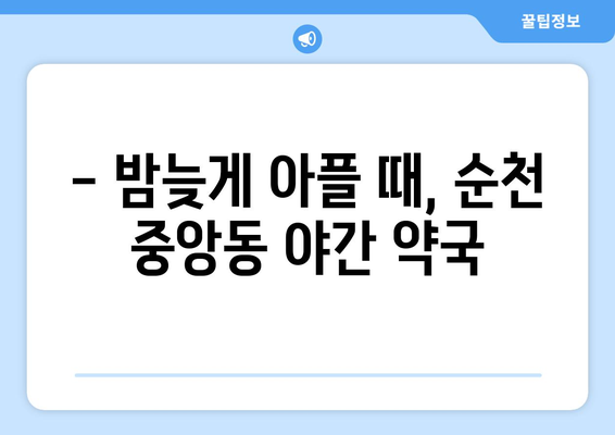 전라남도 순천시 중앙동 24시간 토요일 일요일 휴일 공휴일 야간 약국