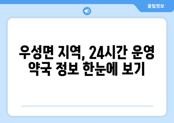 충청남도 공주시 우성면 24시간 토요일 일요일 휴일 공휴일 야간 약국