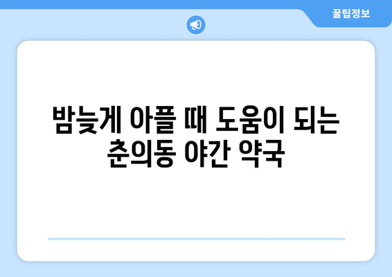 경기도 부천시 춘의동 24시간 토요일 일요일 휴일 공휴일 야간 약국