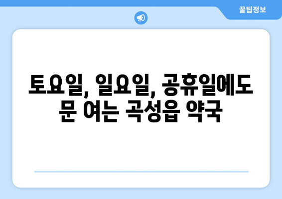 전라남도 곡성군 곡성읍 24시간 토요일 일요일 휴일 공휴일 야간 약국