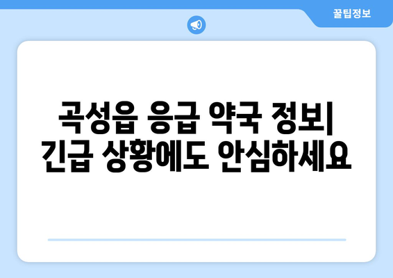 전라남도 곡성군 곡성읍 24시간 토요일 일요일 휴일 공휴일 야간 약국