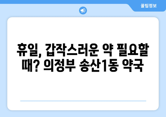 경기도 의정부시 송산1동 24시간 토요일 일요일 휴일 공휴일 야간 약국