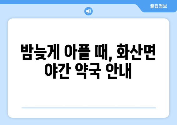 전라북도 완주군 화산면 24시간 토요일 일요일 휴일 공휴일 야간 약국