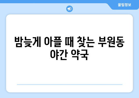 경상남도 김해시 부원동 24시간 토요일 일요일 휴일 공휴일 야간 약국