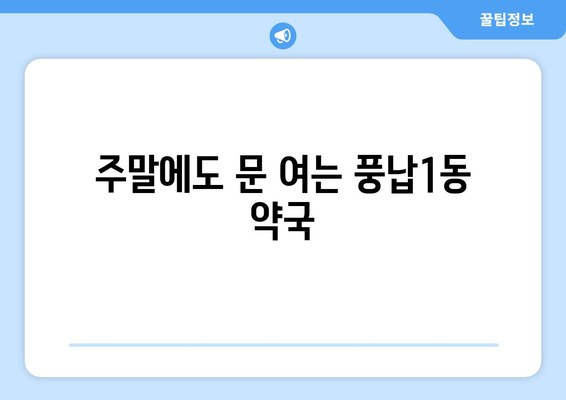 서울시 송파구 풍납1동 24시간 토요일 일요일 휴일 공휴일 야간 약국