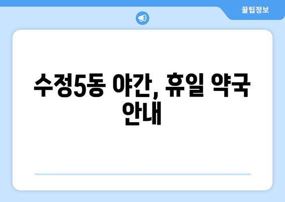 부산시 동구 수정5동 24시간 토요일 일요일 휴일 공휴일 야간 약국