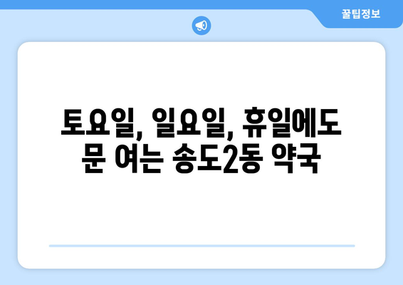 인천시 연수구 송도2동 24시간 토요일 일요일 휴일 공휴일 야간 약국