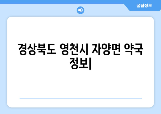 경상북도 영천시 자양면 24시간 토요일 일요일 휴일 공휴일 야간 약국