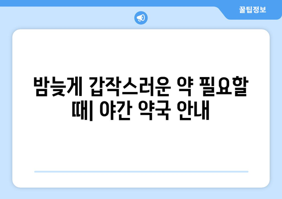 전라남도 담양군 봉산면 24시간 토요일 일요일 휴일 공휴일 야간 약국