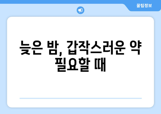 광주시 남구 사직동 24시간 토요일 일요일 휴일 공휴일 야간 약국