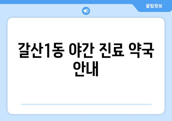 인천시 부평구 갈산1동 24시간 토요일 일요일 휴일 공휴일 야간 약국