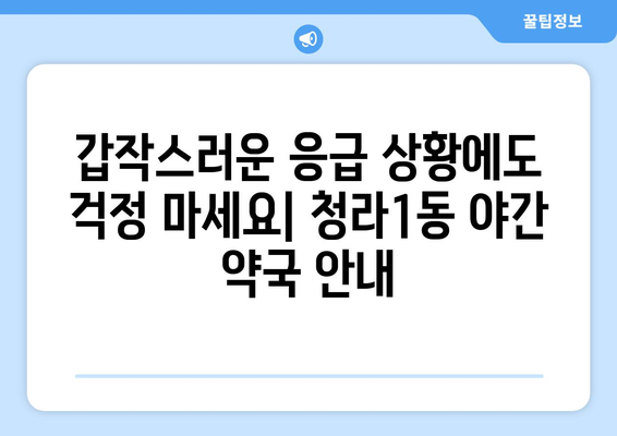 인천시 서구 청라1동 24시간 토요일 일요일 휴일 공휴일 야간 약국