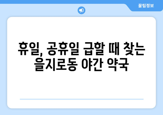 서울시 중구 을지로동 24시간 토요일 일요일 휴일 공휴일 야간 약국