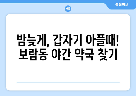 세종시 세종특별자치시 보람동 24시간 토요일 일요일 휴일 공휴일 야간 약국