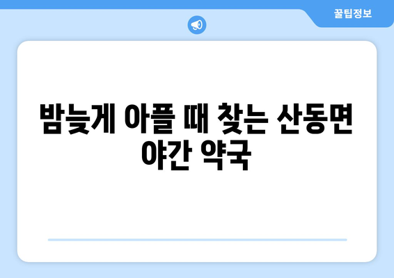 전라남도 구례군 산동면 24시간 토요일 일요일 휴일 공휴일 야간 약국