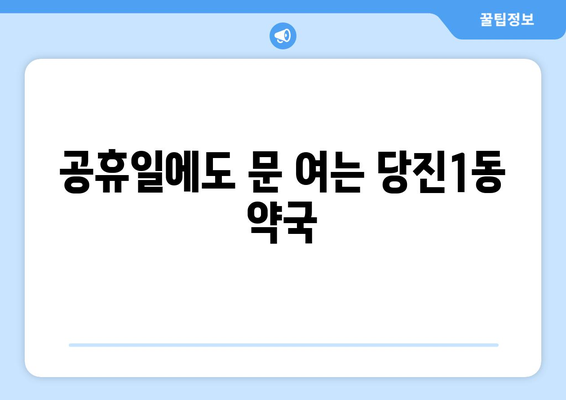 충청남도 당진시 당진1동 24시간 토요일 일요일 휴일 공휴일 야간 약국