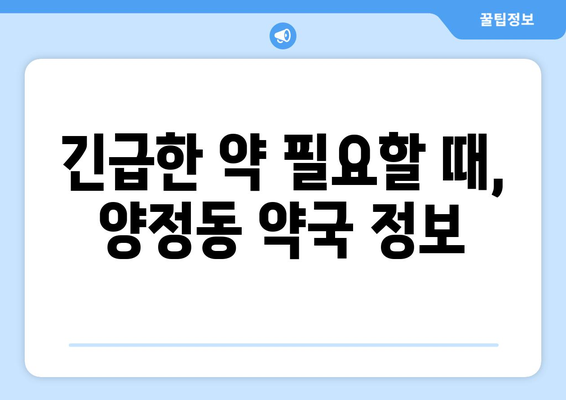 경기도 남양주시 양정동 24시간 토요일 일요일 휴일 공휴일 야간 약국