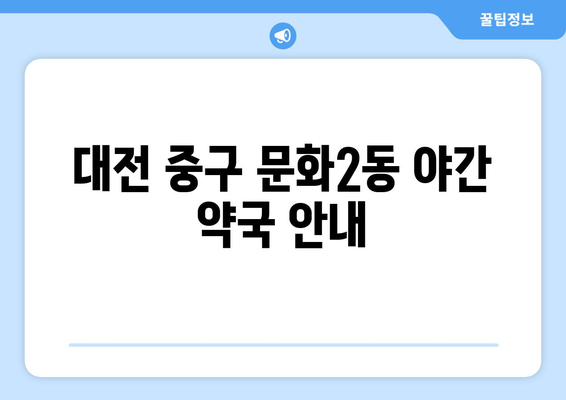 대전시 중구 문화2동 24시간 토요일 일요일 휴일 공휴일 야간 약국