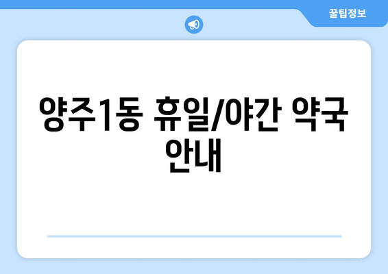 경기도 양주시 양주1동 24시간 토요일 일요일 휴일 공휴일 야간 약국